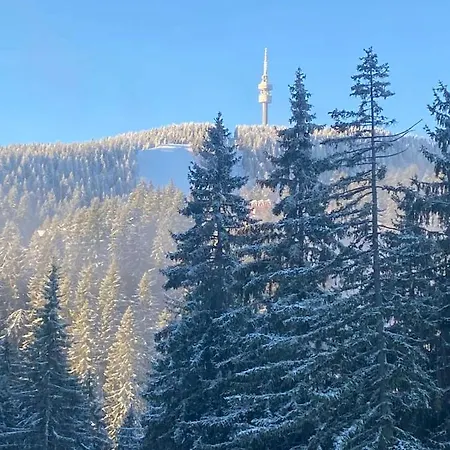 Nevada 4* Pamporovo